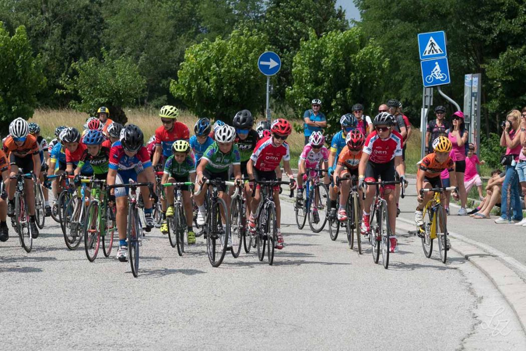 rid 20210718 115434 648