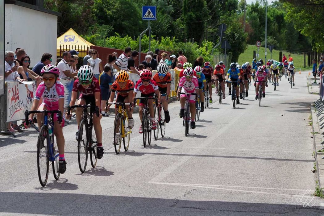 rid 20210718 120019 761