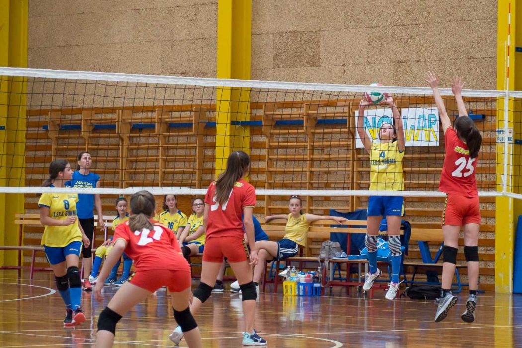 20220602 145456 P6023505