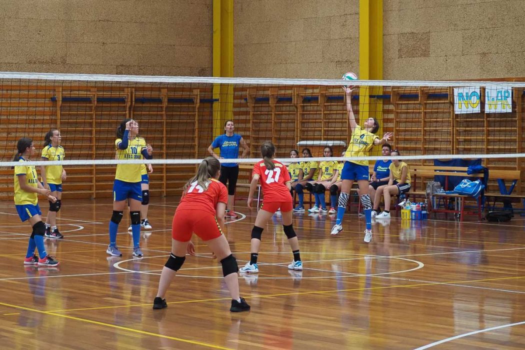 20220602 145548 P6023511