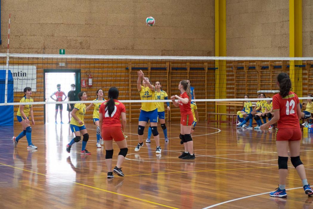 20220602 145943 P6023533