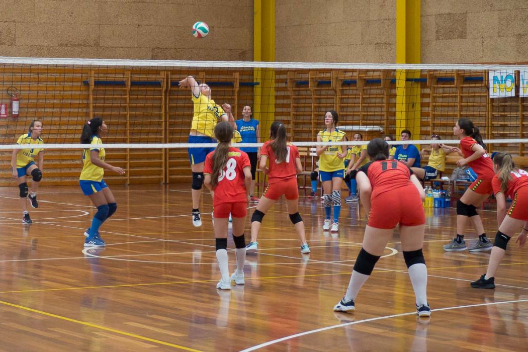 20220602 150712 P6023541