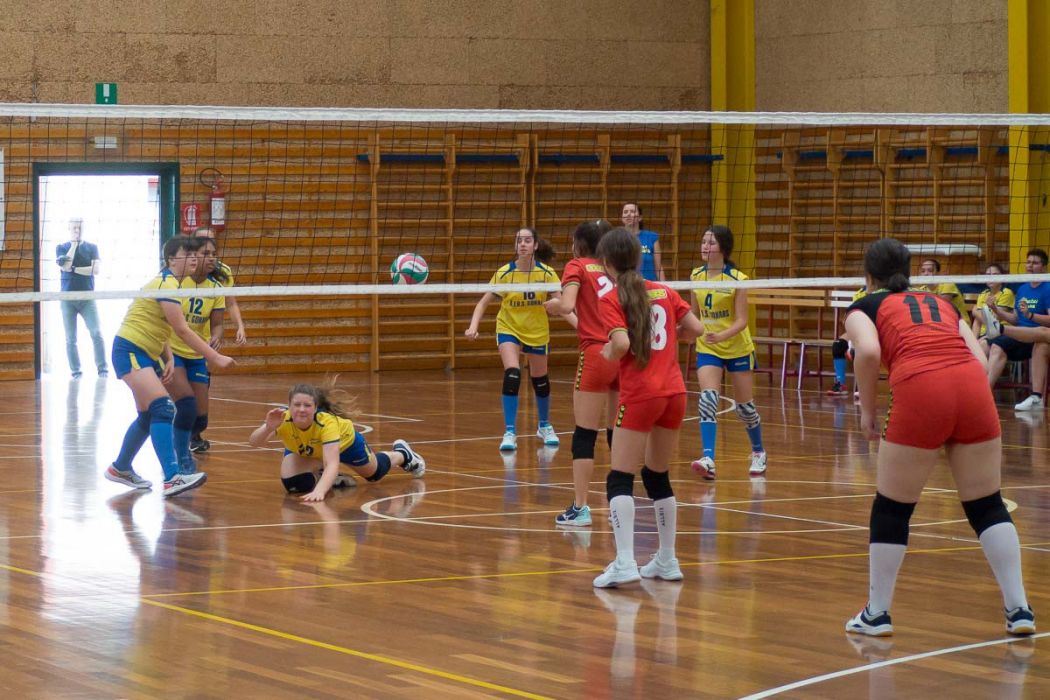 20220602 150719 P6023543