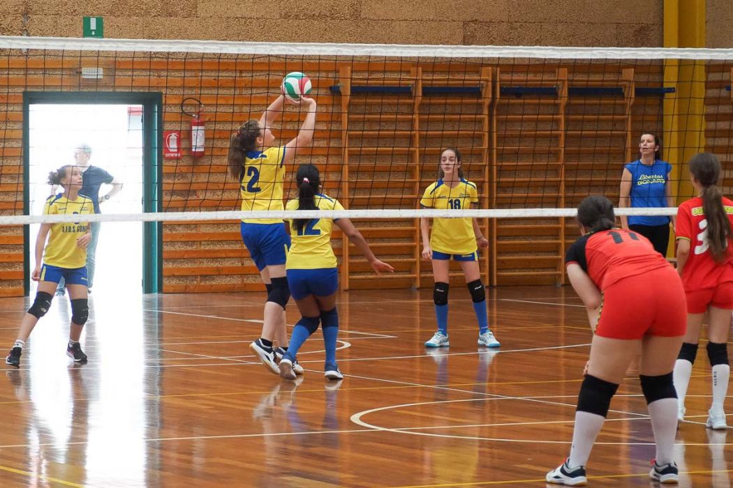 20220602 151006 P6023559