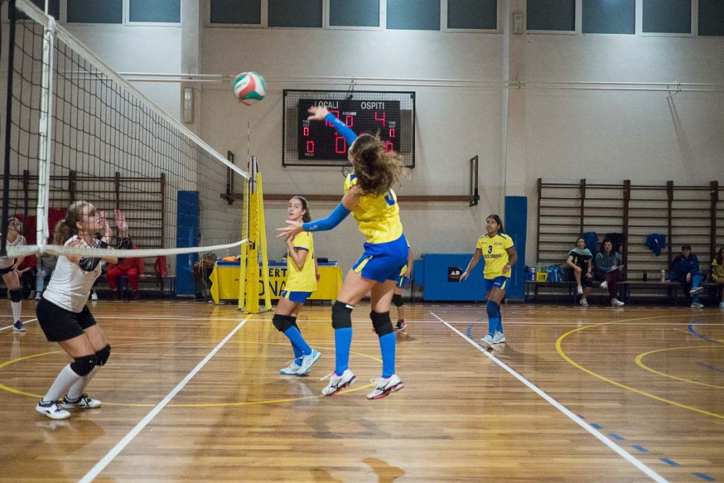 20221101 195047  B015736