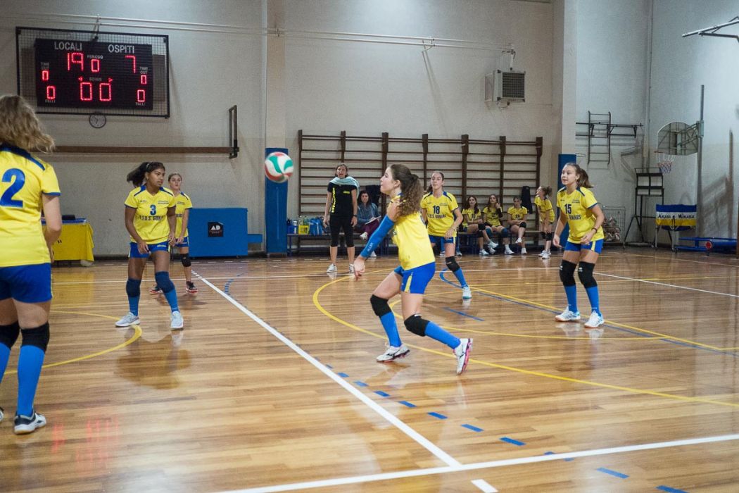 20221101 195212  B015744