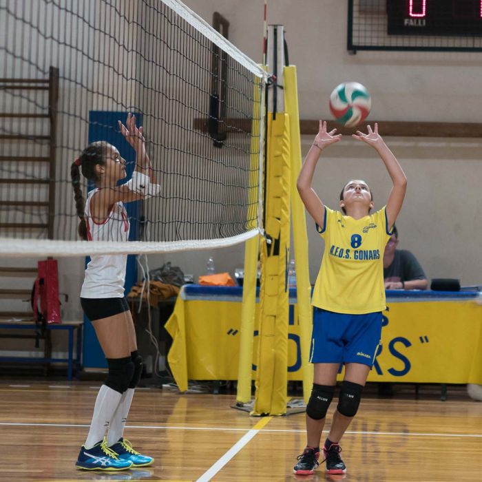 20221102 195431  B020193