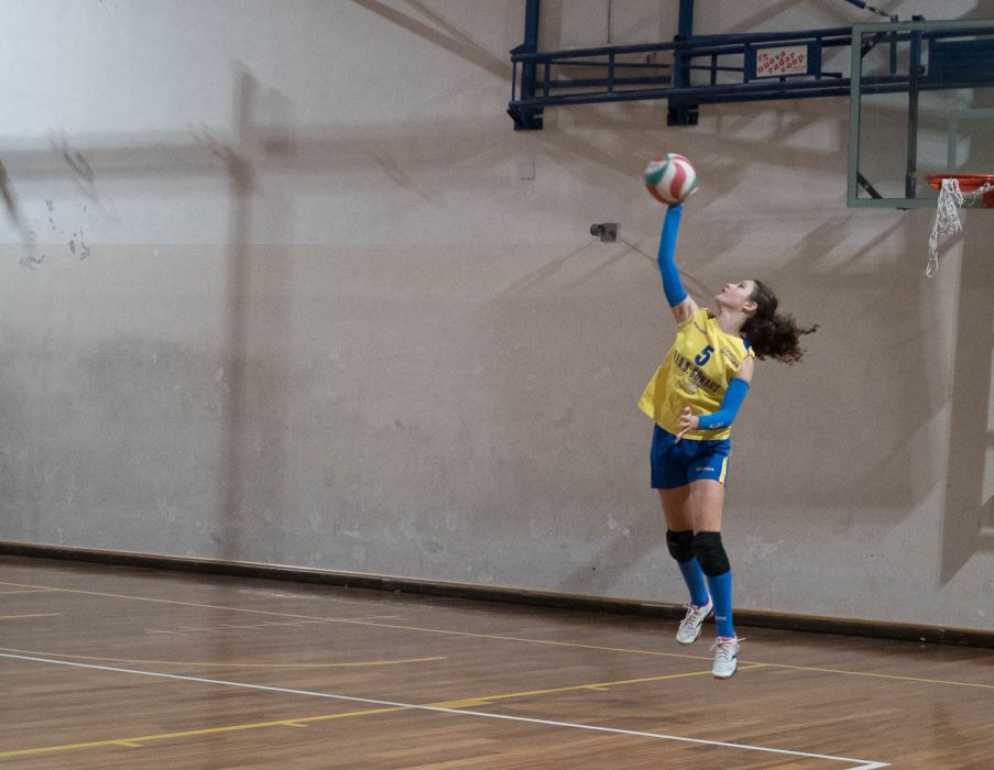 20221102 202640  B020341