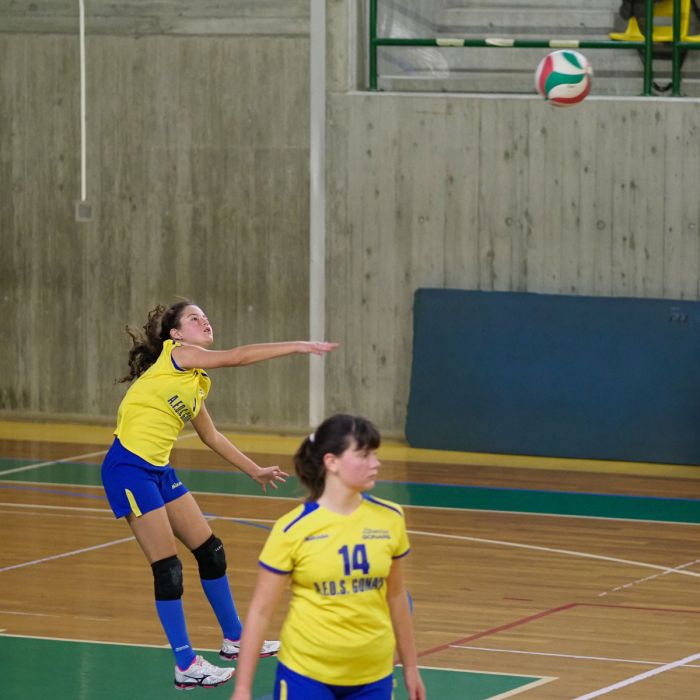 20221105 171422  B057815