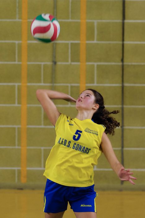 20221105 175130  B050654