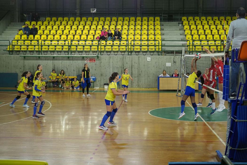 20221105 181630  B050687