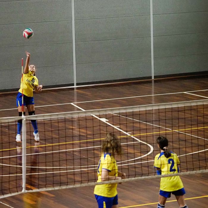 20221117 195847  B178713