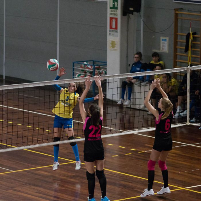 20221117 200006  B178726