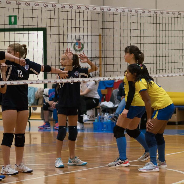 20221125 193413  B258816