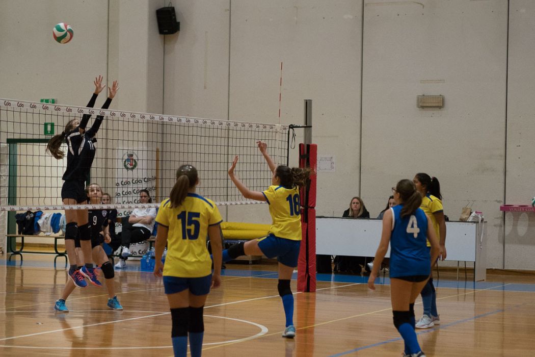 20221125 195254  B258884