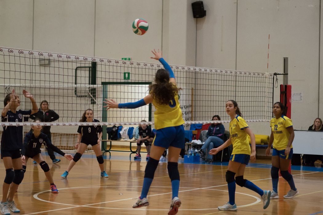 20221125 195756  B258927