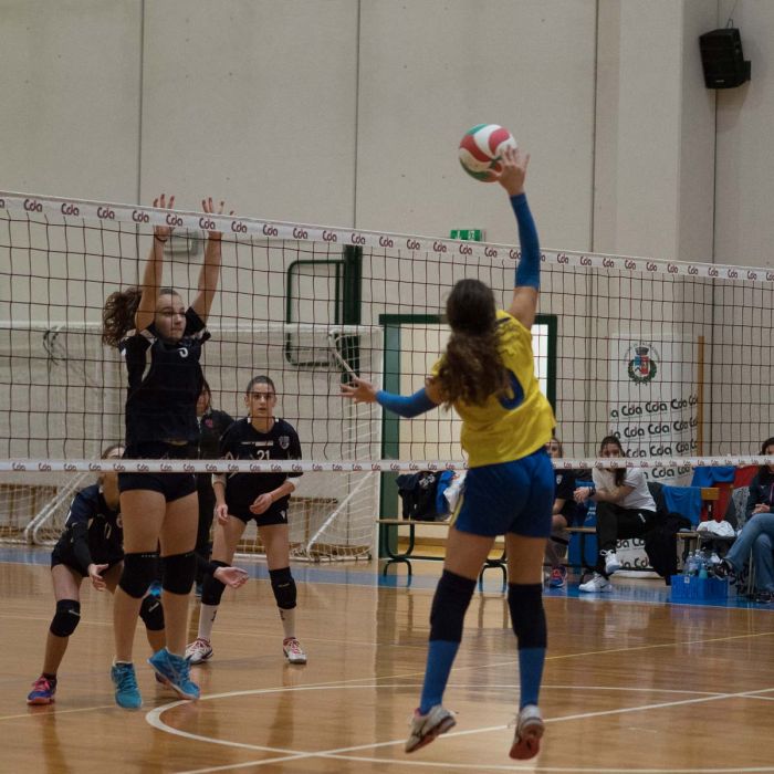 20221125 195938  B258937