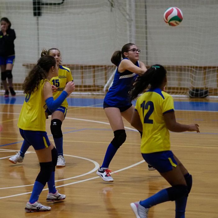 20221125 201712  B259004