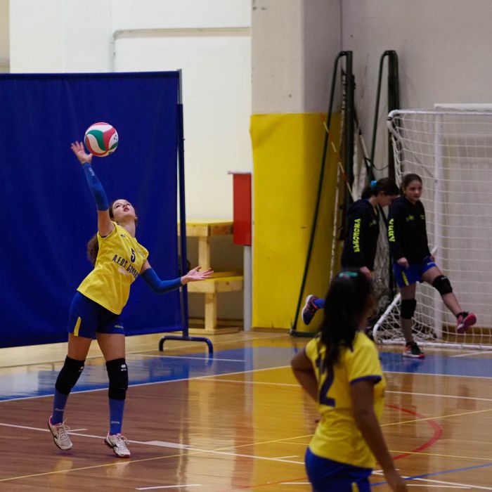 20221125 201747  B259011