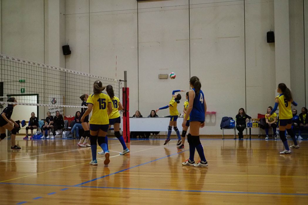 20221125 205235  B259072