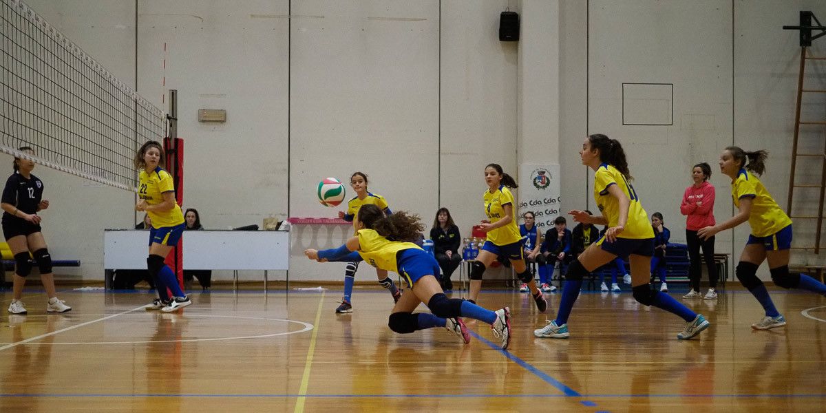 20221125 205820  B259115