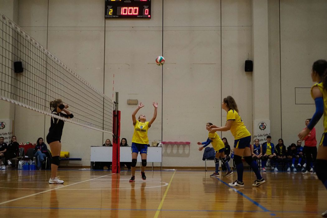 20221125 205915  B259118