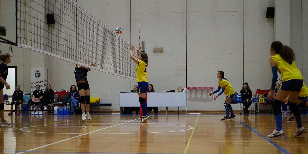 20221125 205929  B259127