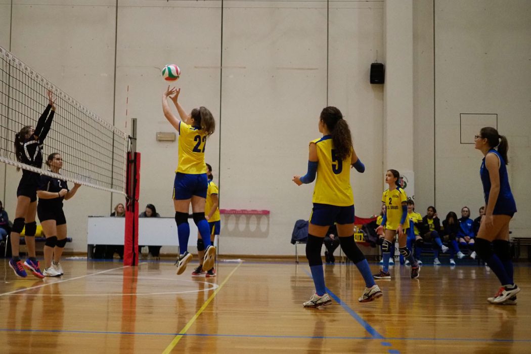 20221125 210126  B259141