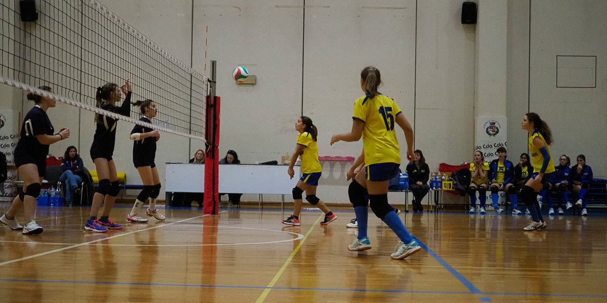 20221125 210202  B259147