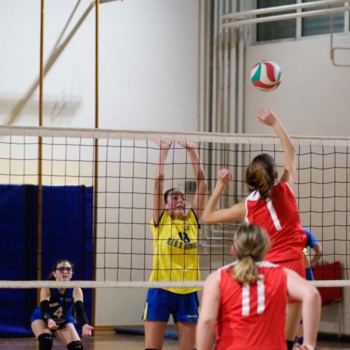 20221207 200948  C071110