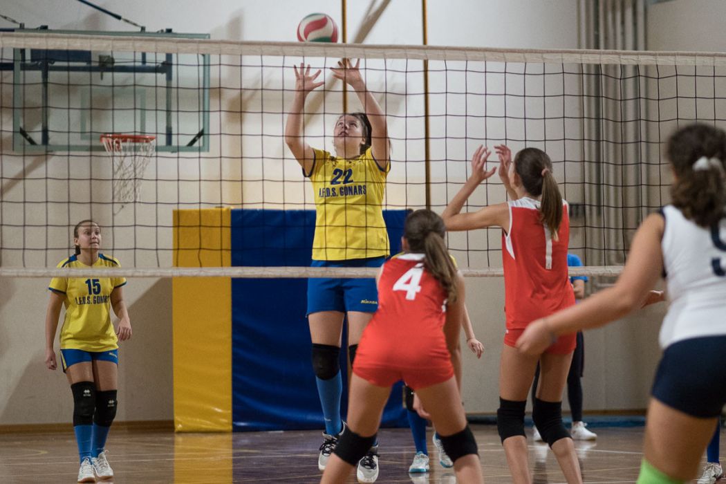 20221207 201055  C071114