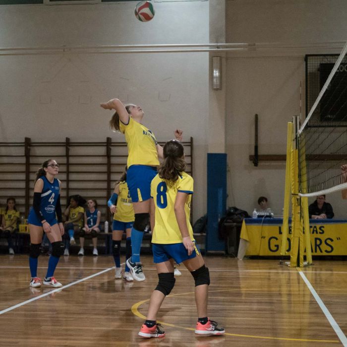 20221207 202750  C079331