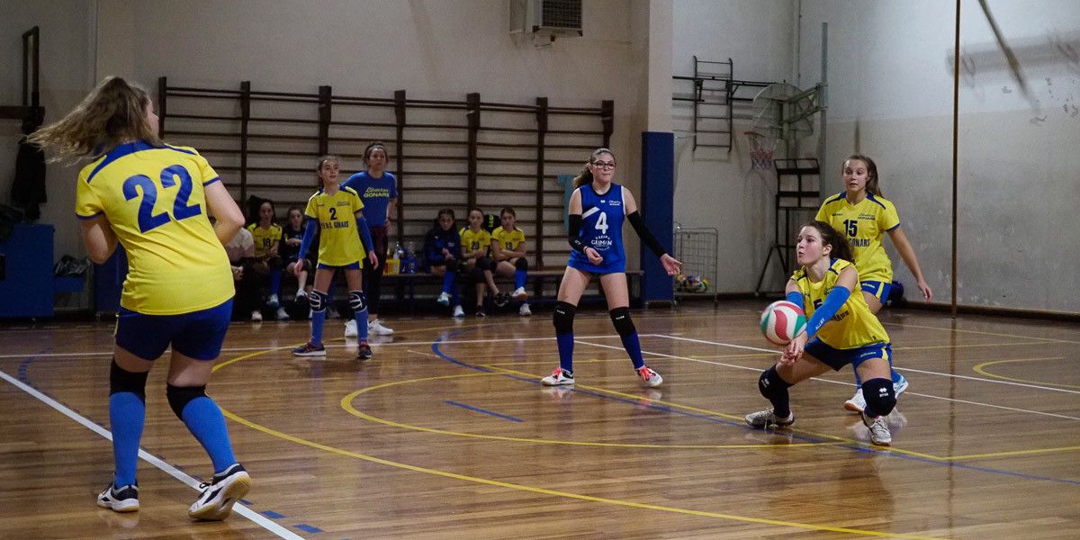 20221207 204419  C079428