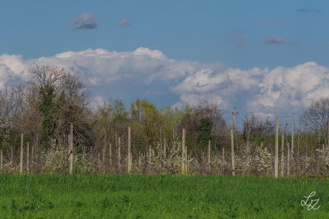 20240324 163617  3245801