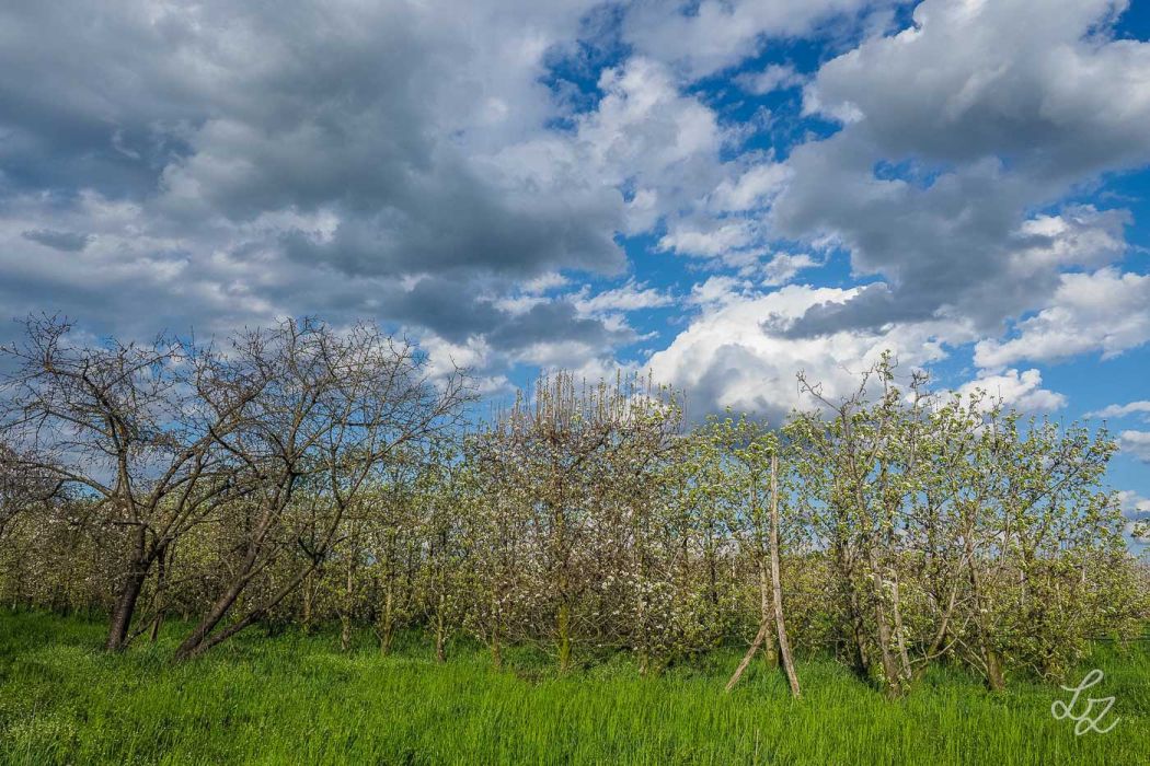 20240324 164302 3240179