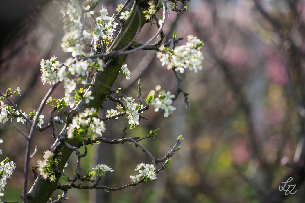 20240324 165030  3245881