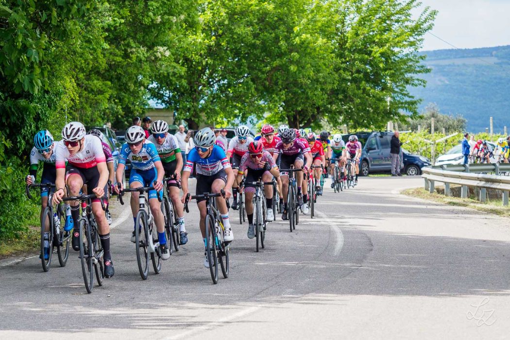 20240425 140209  4257829