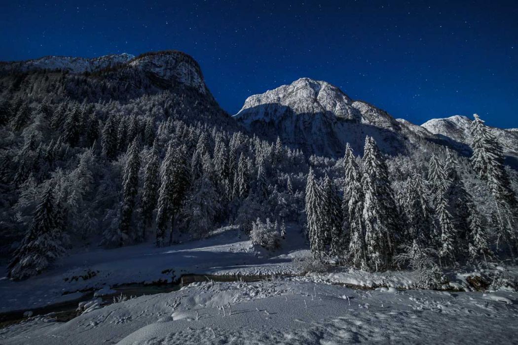 01022018  1020174 rid