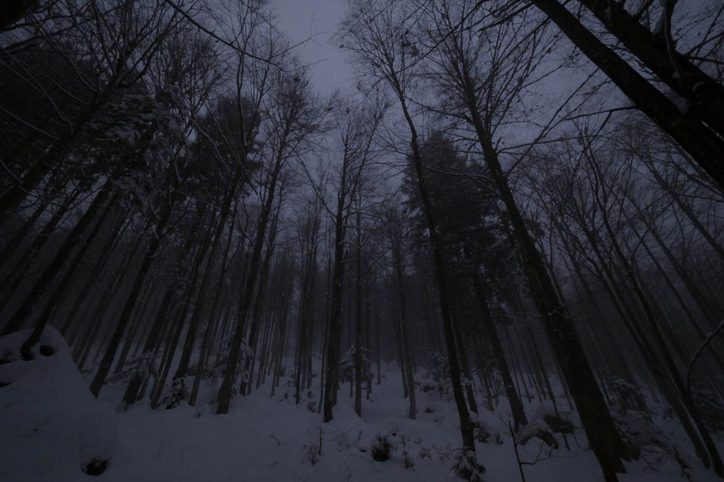 02112017  2110957 rid