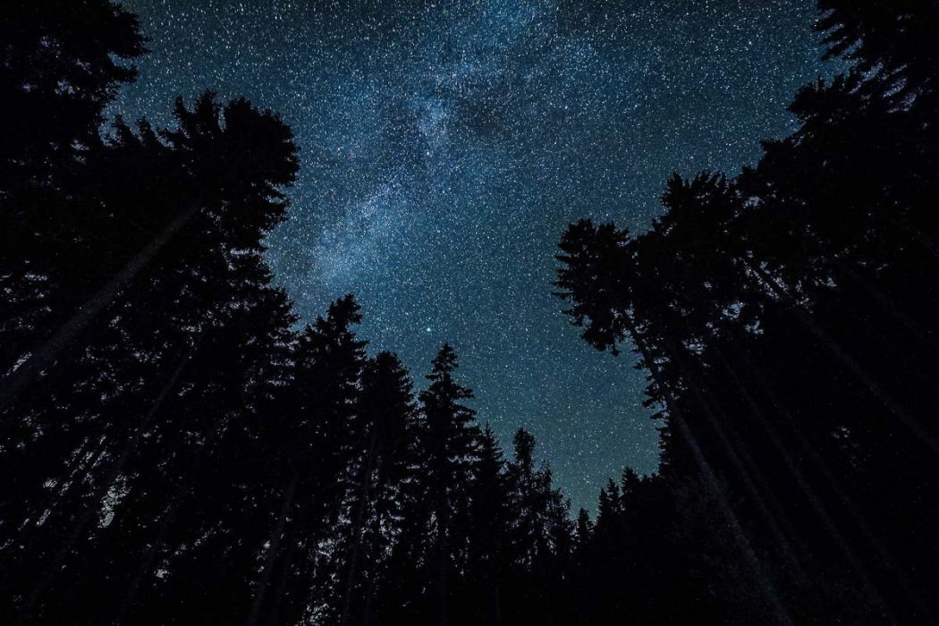 08232017  8230045  FR basso ev 1  Modifica rid