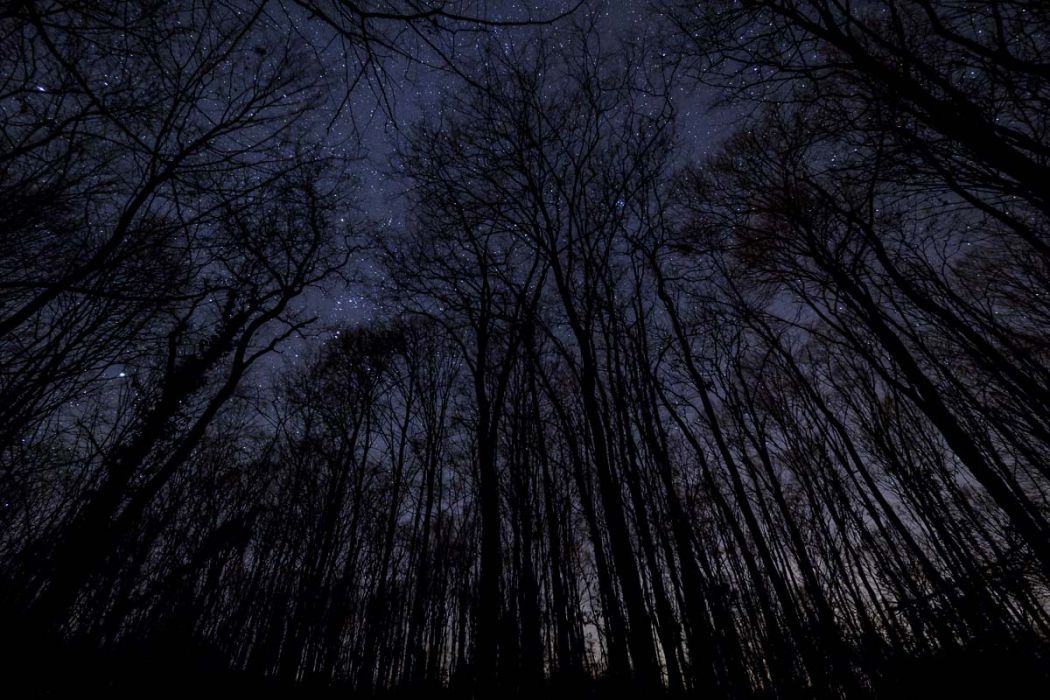 12192017  C190128 rid