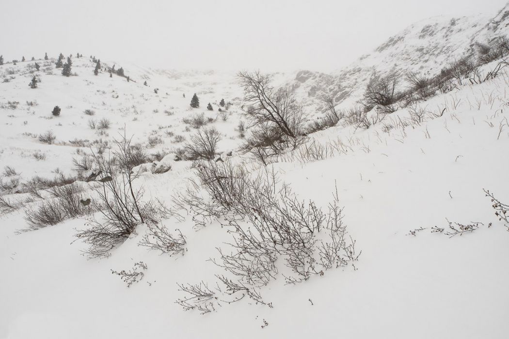 02012015  2010318 2 rid