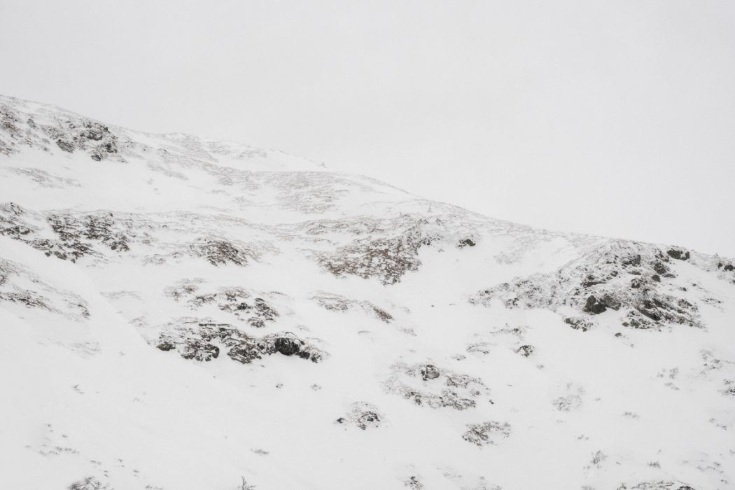 02072015  2010394 Modifica rid