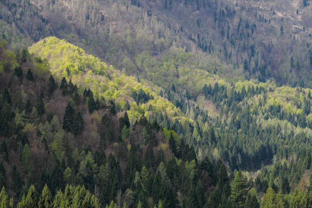 04172017  4170223 rid