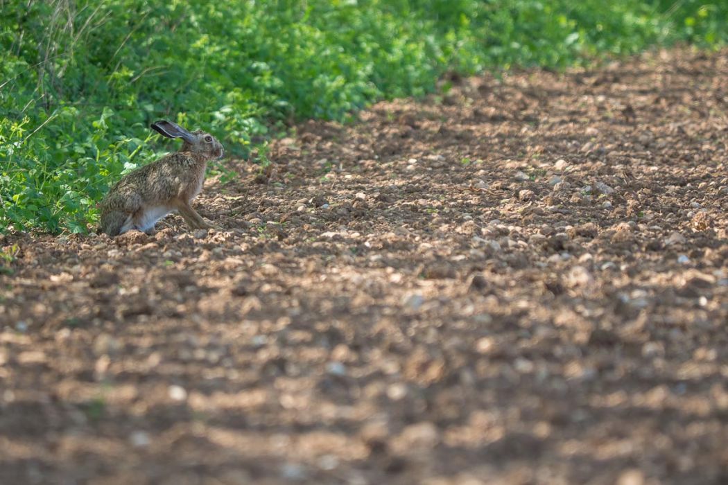 04212015  4210002 rid