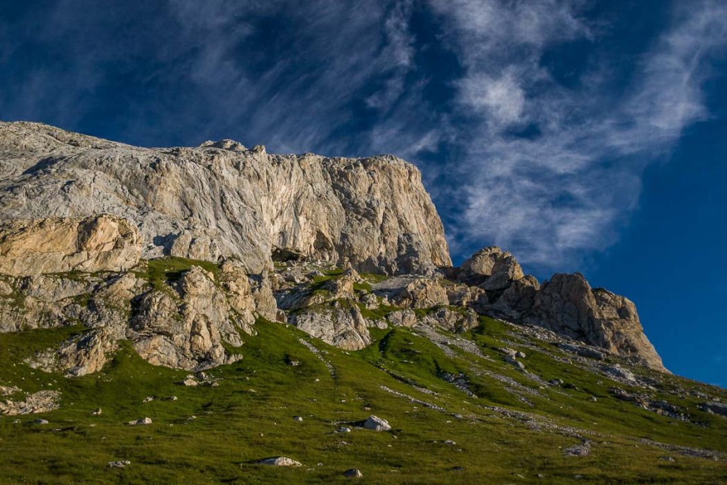 07282010 P7287536 rid