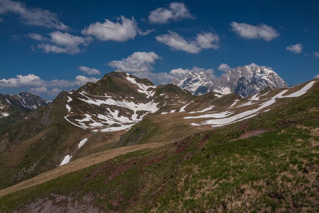 08062014 P6084052 rid