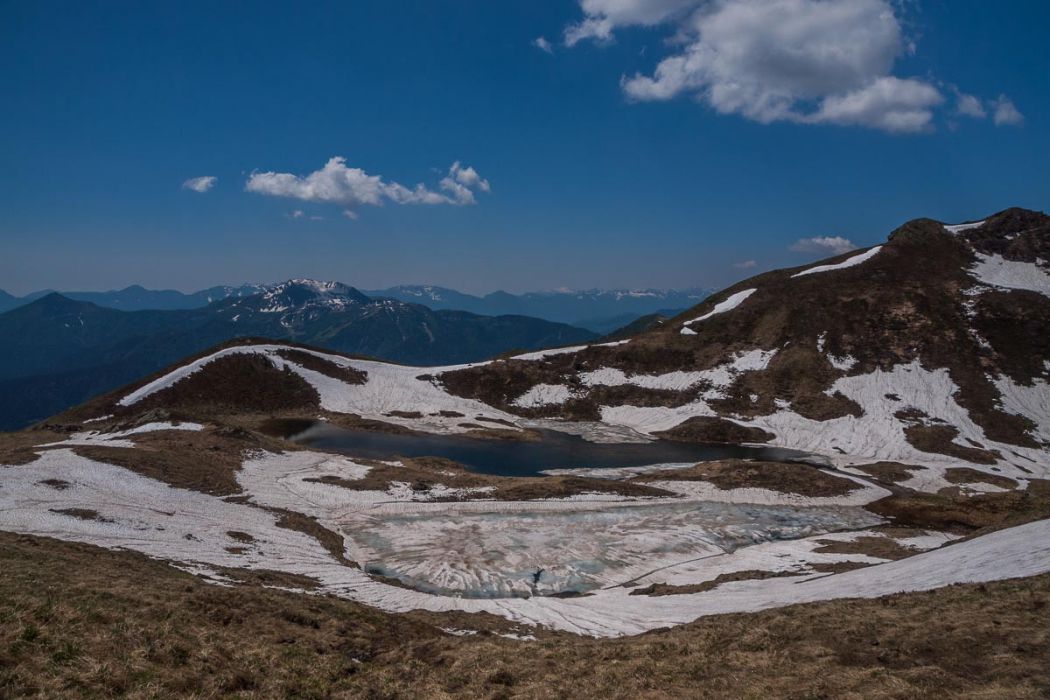 08062014 P6084131 rid