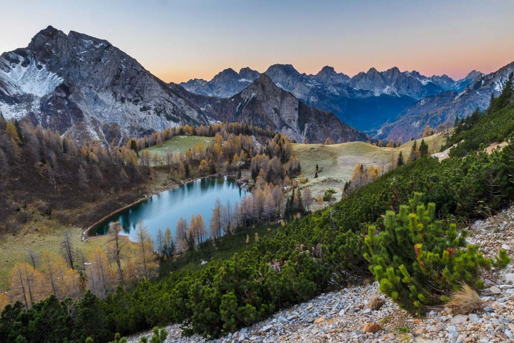 11022014  B020509 rid