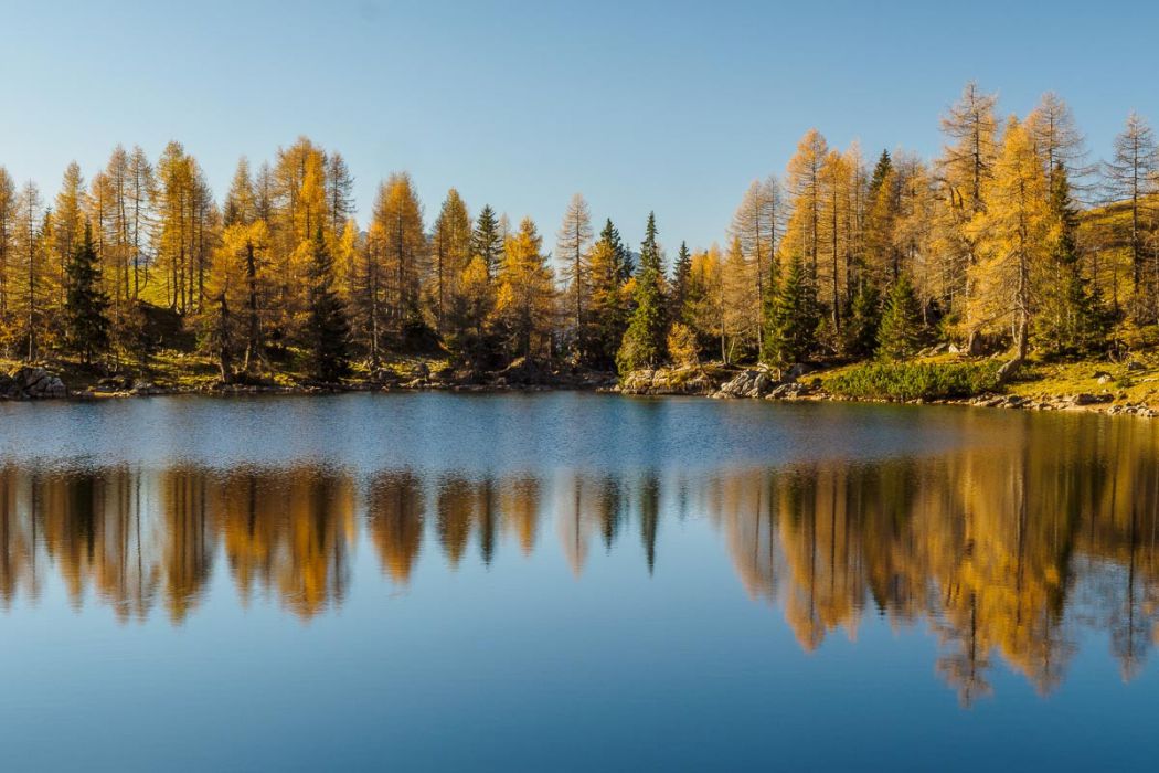 11022014  B020618 rid